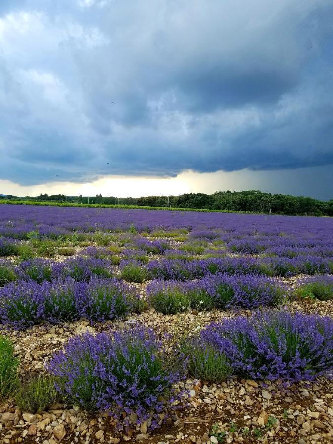 La Fontaine Au Loup Hotel Saint-Maurice-sur-Eygues ภายนอก รูปภาพ