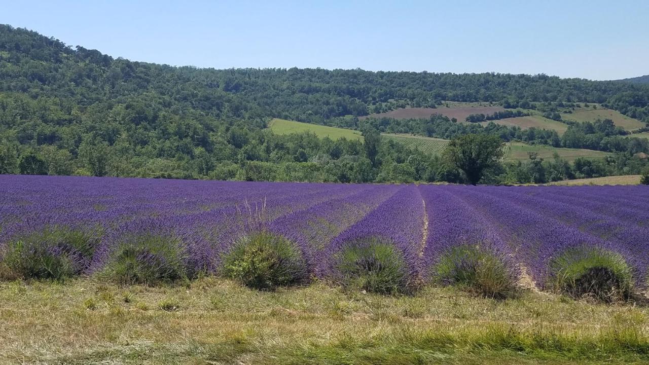 La Fontaine Au Loup Hotel Saint-Maurice-sur-Eygues ภายนอก รูปภาพ